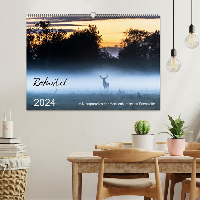 Cerf élaphe - dans le paradis naturel de la région des lacs du Mecklembourg (calendrier mural CALVENDO 2024) 