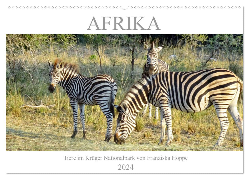 Afrique - Animaux du Parc National Kruger (Calendrier mural CALVENDO 2024) 