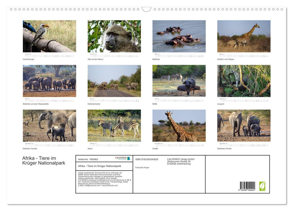 Afrique - Animaux du Parc National Kruger (Calendrier mural CALVENDO 2024) 