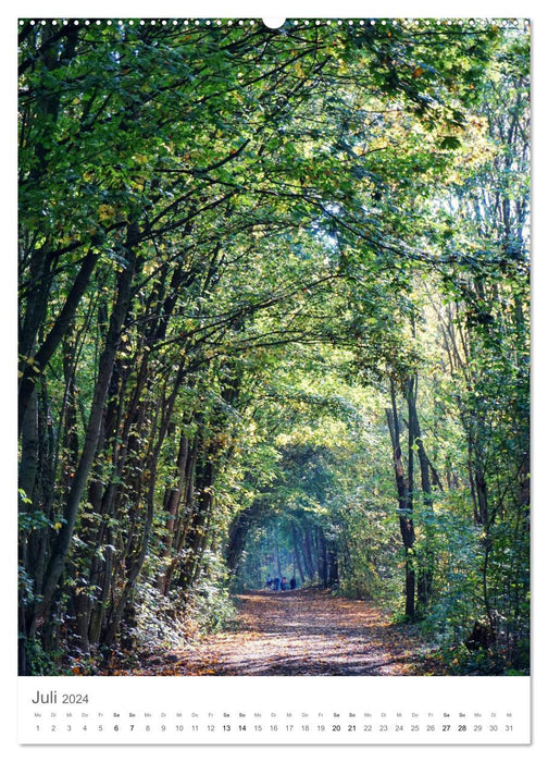 Wald - bezaubernde Landschaften (CALVENDO Premium Wandkalender 2024)