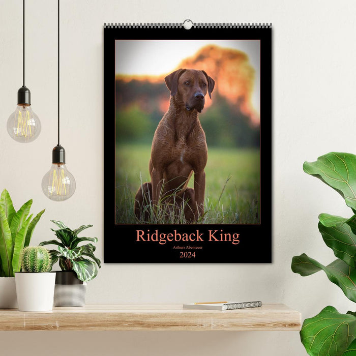 Ridgeback King – Arthur's Adventure (Calvendo mural 2024) 