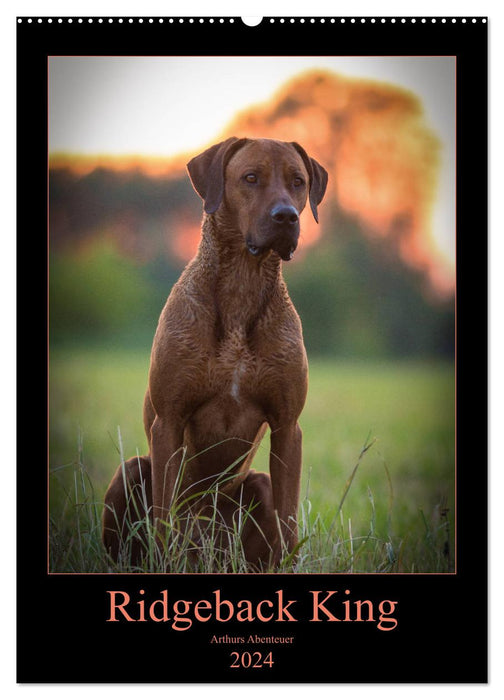 Ridgeback King - Arthurs Abenteuer (CALVENDO Wandkalender 2024)