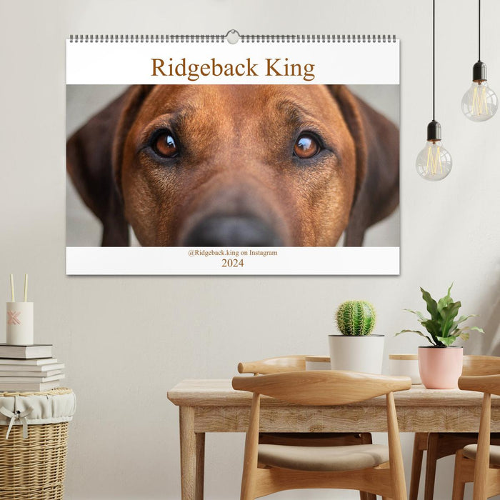 Ridgeback King (Calendrier mural CALVENDO 2024) 