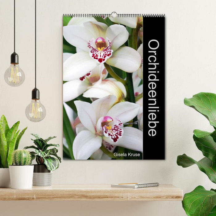 Amour orchidée (Calendrier mural CALVENDO 2024) 