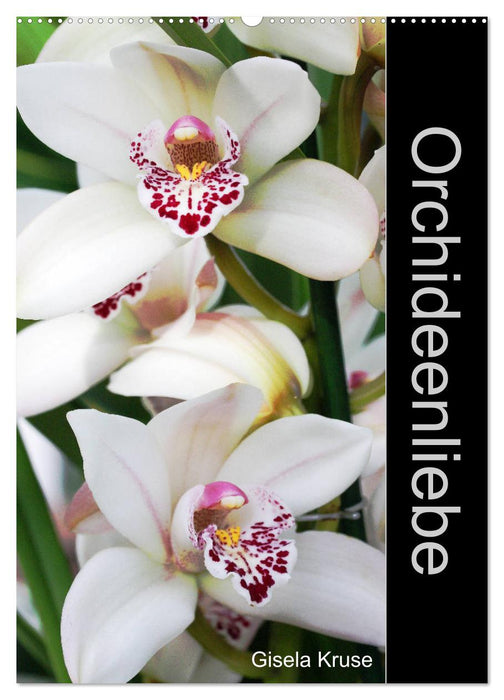 Orchideenliebe (CALVENDO Wandkalender 2024)