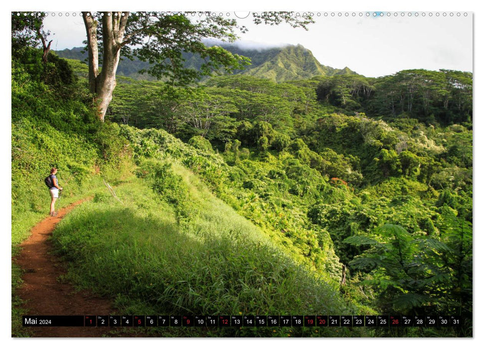 Wandern auf Hawaii - Berge im Pazifik (CALVENDO Premium Wandkalender 2024)
