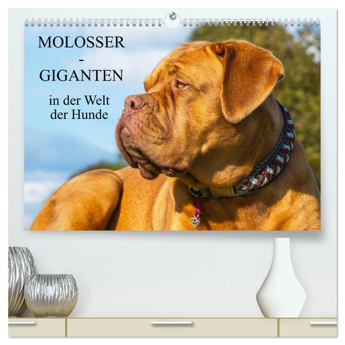 Molosses - géants du monde des chiens (Calendrier mural CALVENDO Premium 2024) 