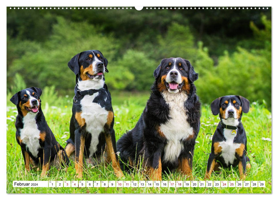 Molosser - Giganten in der Welt der Hunde (CALVENDO Premium Wandkalender 2024)