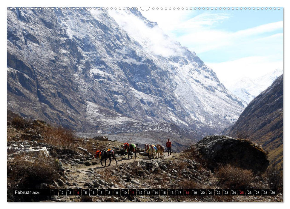 Nepal, das Langtang Tal (CALVENDO Premium Wandkalender 2024)