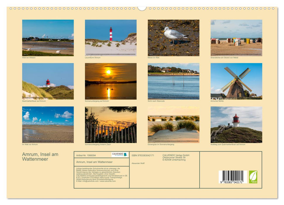 L'île d'Amrum sur la mer des Wadden (Calvendo Premium Wall Calendar 2024) 