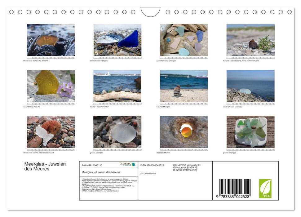 Verre de mer – Joyaux de la mer (Calendrier mural CALVENDO 2024) 