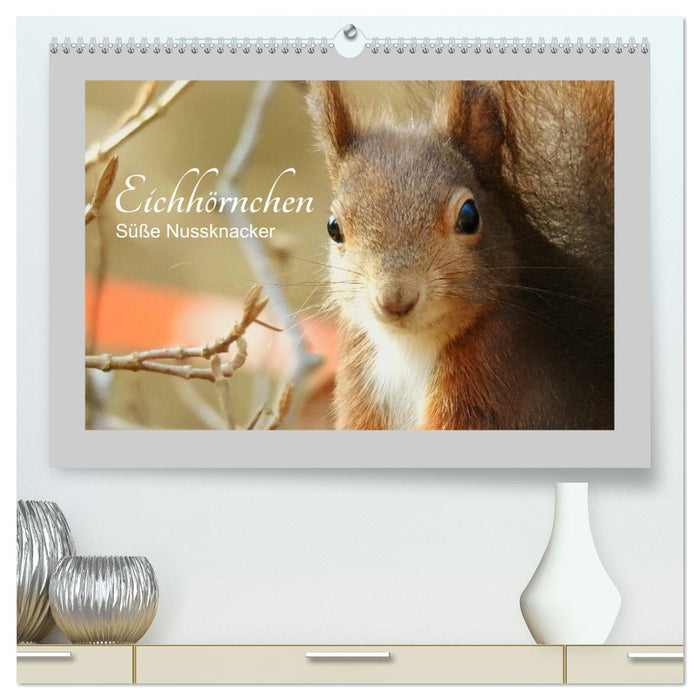 Eichhörnchen - Süße Nussknacker (CALVENDO Premium Wandkalender 2024)
