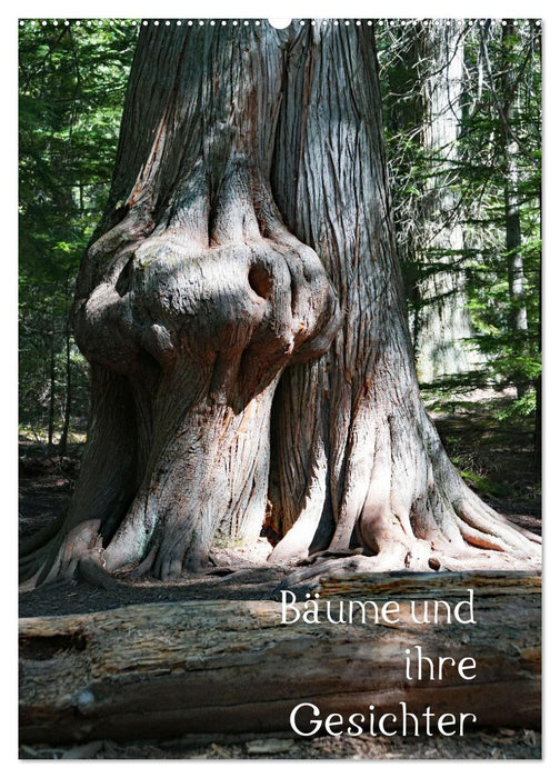 Bäume und ihre Gesichter (CALVENDO Wandkalender 2024)