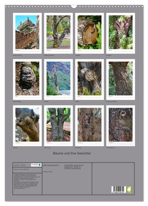 Bäume und ihre Gesichter (CALVENDO Wandkalender 2024)