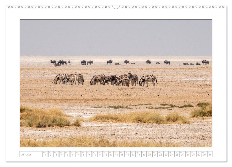 Namibia - Die Erfahrung der Weite (CALVENDO Premium Wandkalender 2024)