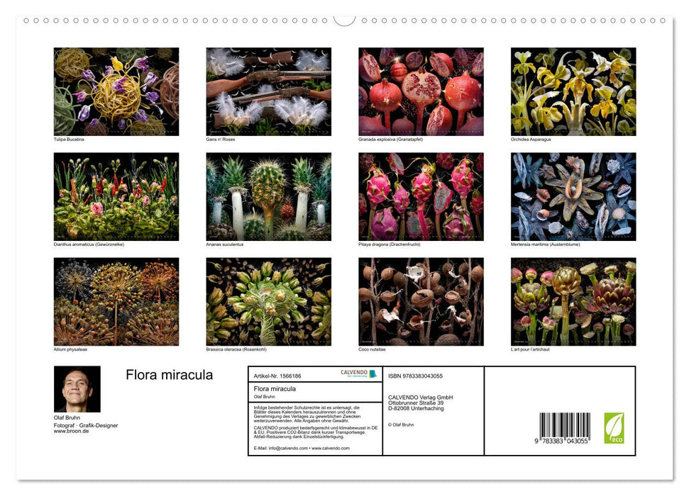 Flora miracula - Die wundersame Welt des Fotografen Olaf Bruhn (CALVENDO Premium Wandkalender 2024)