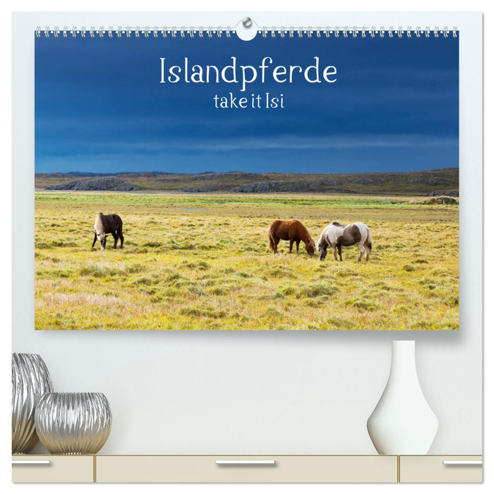 Islandpferde take it Isi (CALVENDO Premium Wandkalender 2024)