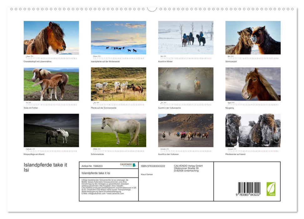 Les chevaux islandais le prennent Isi (Calvendo Premium Wall Calendar 2024) 