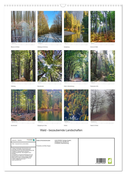 Forêt - paysages enchanteurs (Calendrier mural CALVENDO 2024) 