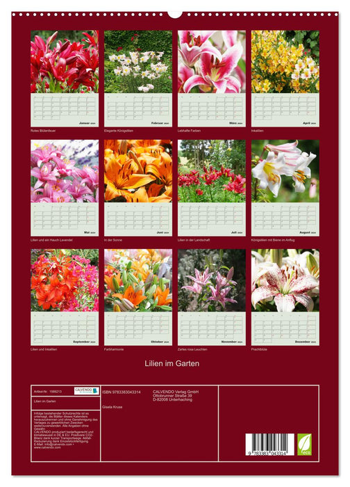 Lilien im Garten (CALVENDO Premium Wandkalender 2024)