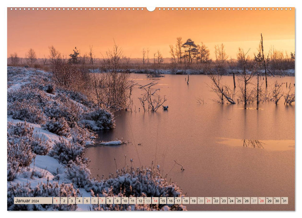 Diepholzer Hochmoor (CALVENDO Wandkalender 2024)