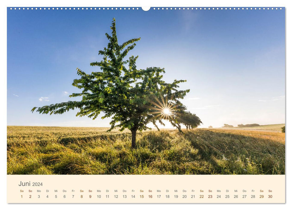 Lautrer Landschaften 2024 (CALVENDO Wandkalender 2024)