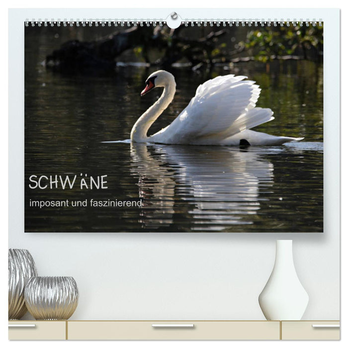 Schwäne - imposant und faszinierend (CALVENDO Premium Wandkalender 2024)