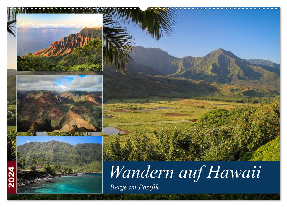 Randonnée à Hawaï - Montagnes du Pacifique (Calendrier mural CALVENDO 2024) 
