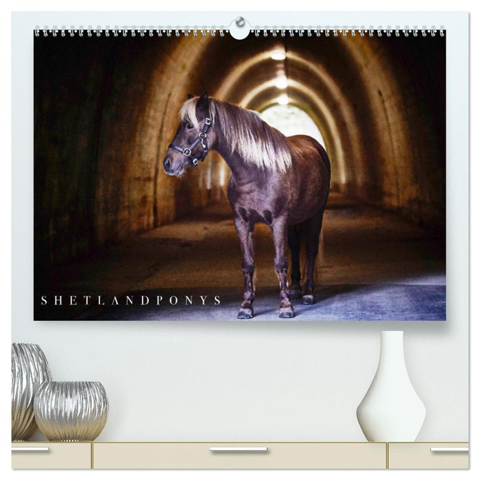 Shetlandpony Kalender (CALVENDO Premium Wandkalender 2024)