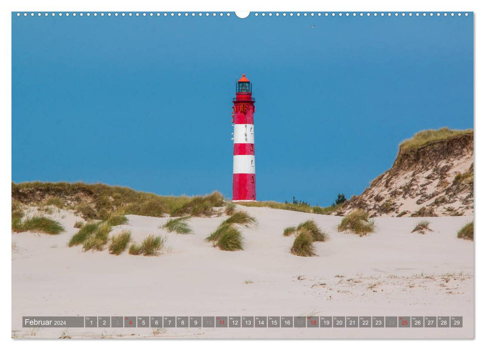 Amrum Insel am Wattenmeer (CALVENDO Wandkalender 2024)