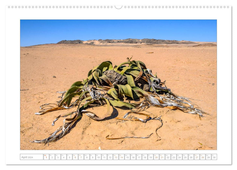 Namibie - L'expérience de l'immensité (Calendrier mural CALVENDO 2024) 