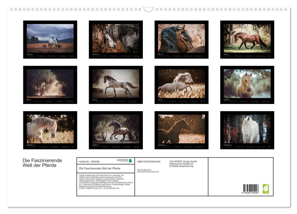 Die Faszinierende Welt der Pferde (CALVENDO Wandkalender 2024)