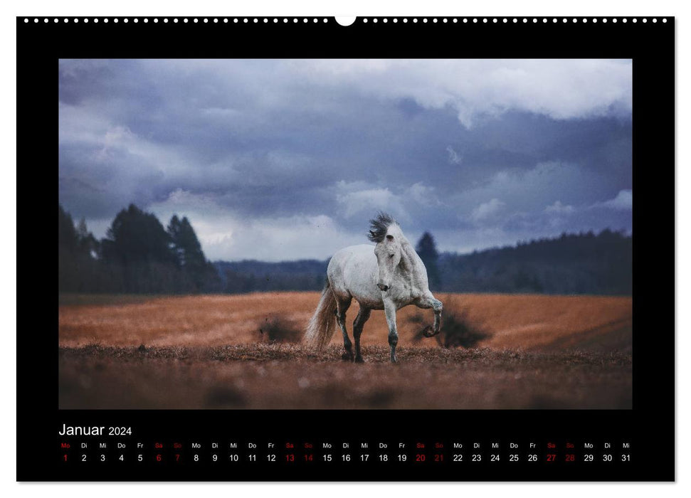 Le monde fascinant des chevaux (Calendrier mural CALVENDO 2024) 