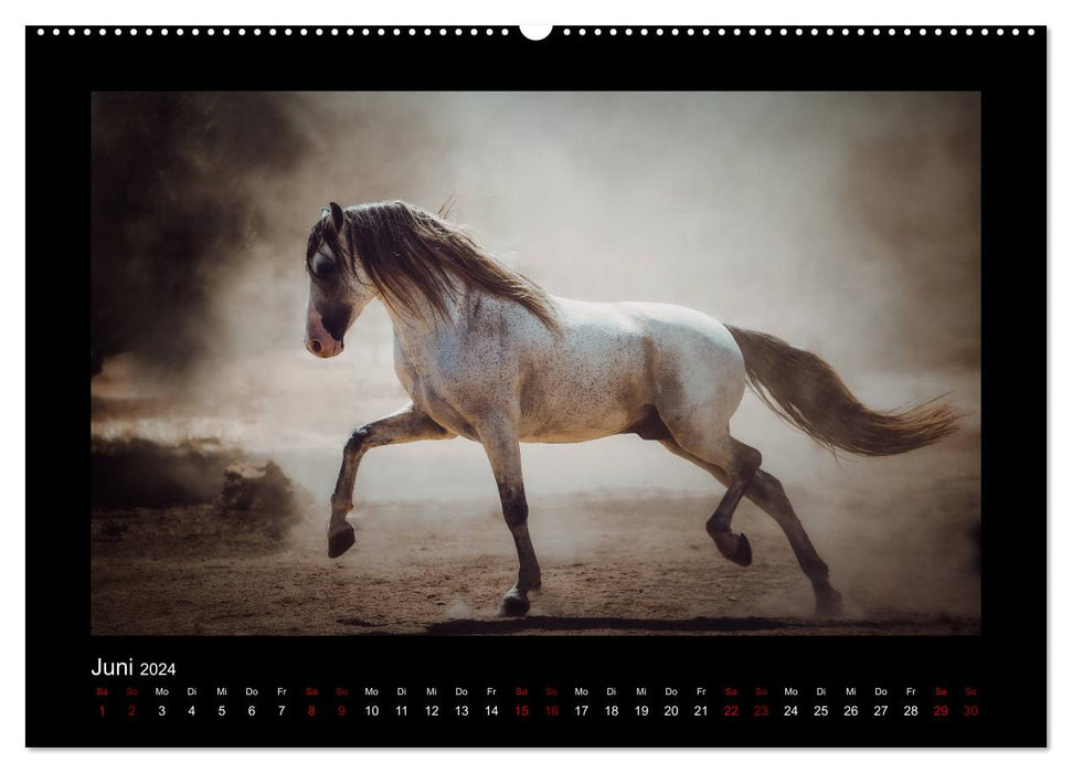 Le monde fascinant des chevaux (Calendrier mural CALVENDO 2024) 