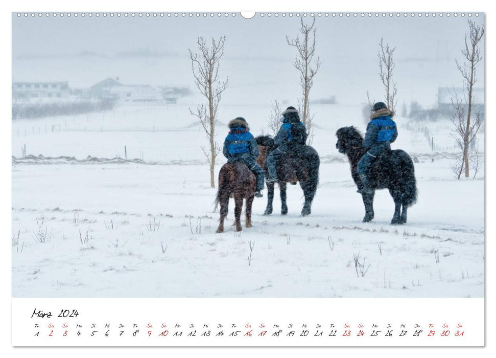 Les chevaux islandais le prennent Isi (calendrier mural CALVENDO 2024) 