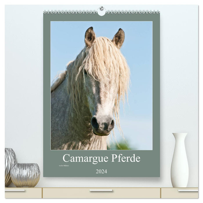 Chevaux camarguais - crinières blanches (Calendrier mural CALVENDO Premium 2024) 