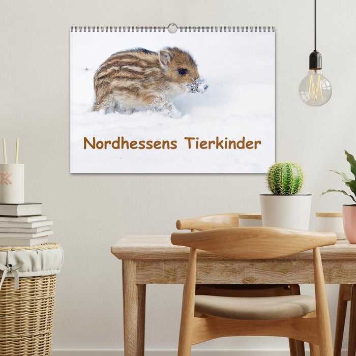 Nordhessens Tierkinder (CALVENDO Wandkalender 2024)