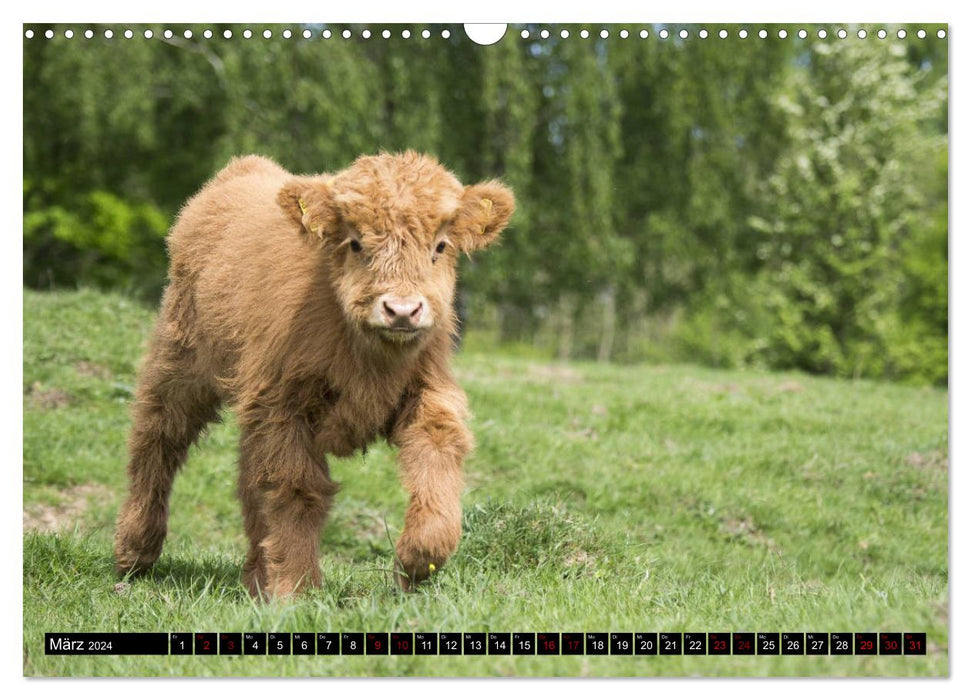 Les enfants animaux de la Hesse du Nord (calendrier mural CALVENDO 2024) 