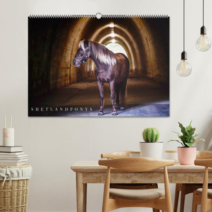 Calendrier poney Shetland (calendrier mural CALVENDO 2024) 