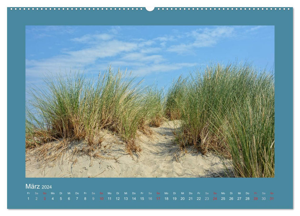 Sanddünen an der Nordsee in den Niederlanden (CALVENDO Premium Wandkalender 2024)