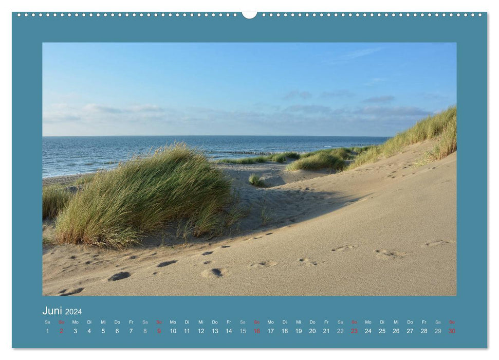Dunes de sable sur la mer du Nord aux Pays-Bas (Calendrier mural CALVENDO Premium 2024) 