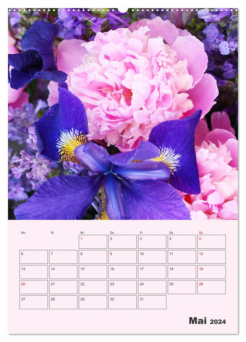 Pivoines roses sans épines (Calendrier mural CALVENDO 2024) 