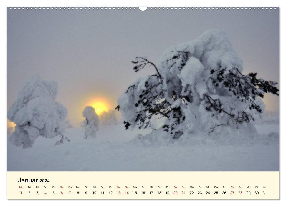 Lichtstimmungen des Nordens (CALVENDO Wandkalender 2024)