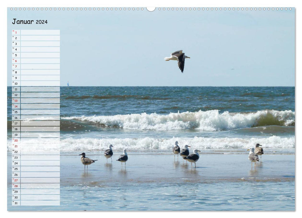 Egmond aan Zee (CALVENDO Wandkalender 2024)