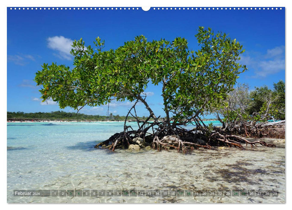 Kuba - Perle der Karibik (CALVENDO Premium Wandkalender 2024)