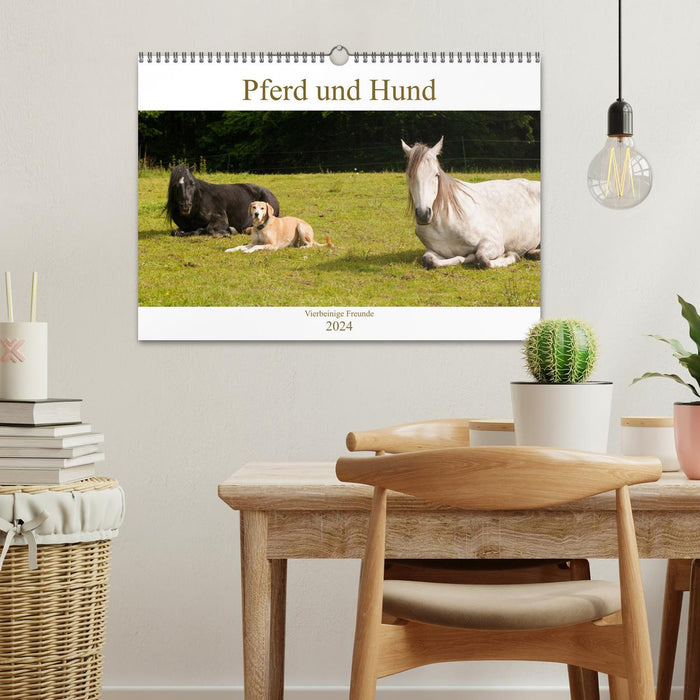 Pferd und Hund - Vierbeinige Freunde (CALVENDO Wandkalender 2024)