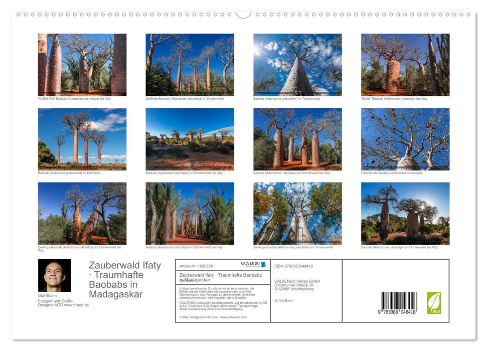 Forêt enchantée Ifaty Baobabs oniriques à Madagascar (Calvendo Premium Wall Calendar 2024) 