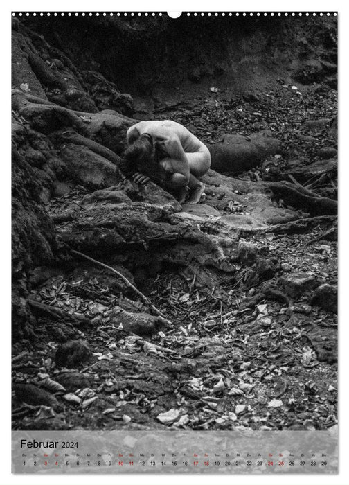 Naked: Akt + Landschaft (CALVENDO Wandkalender 2024)