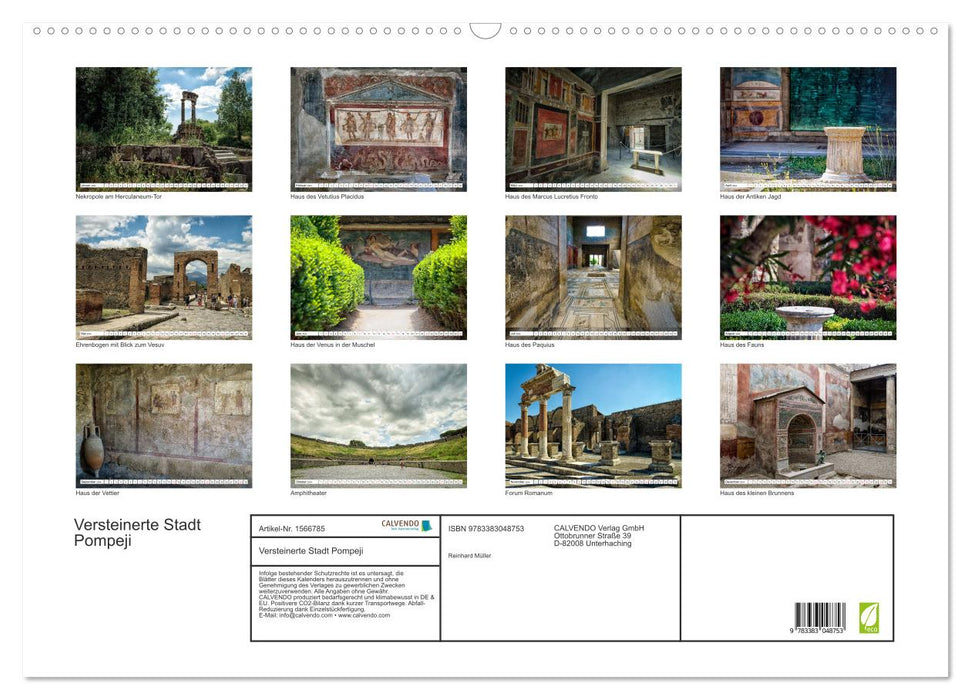 Versteinerte Stadt Pompeji (CALVENDO Wandkalender 2024)