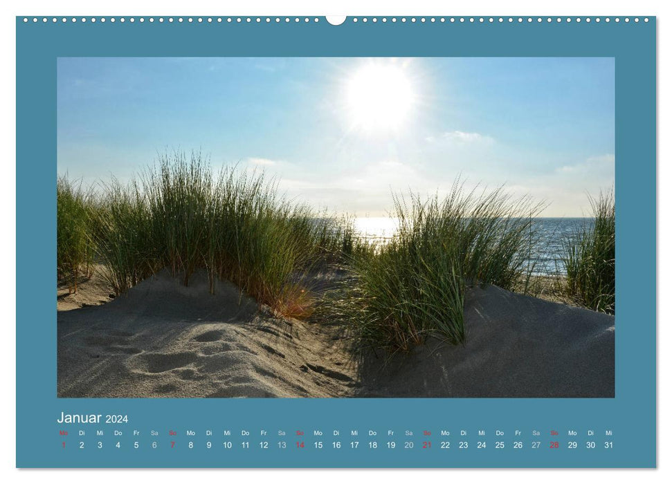 Dunes de sable sur la mer du Nord aux Pays-Bas (calendrier mural CALVENDO 2024) 